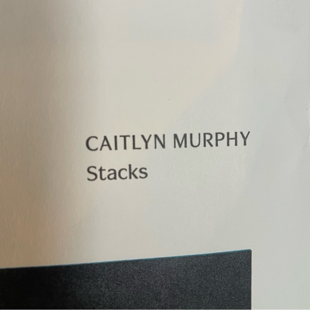 Aritzia gift bag Caitlyn Murphy “Stacks” & “Assortment” - Picture 3 of 9